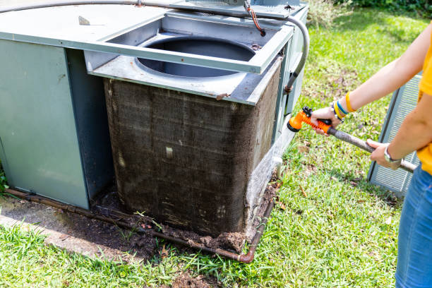 Best Air Duct Mold Removal  in Hillsboro, ND