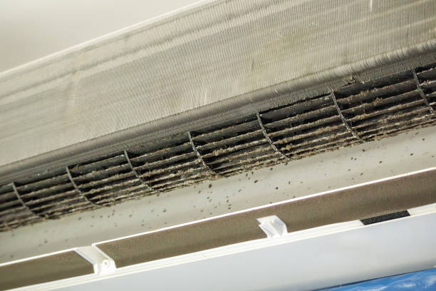 Best Affordable HVAC Duct Cleaning  in Hillsboro, ND