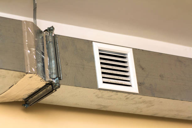 Best Dryer Vent Cleaning Services  in Hillsboro, ND